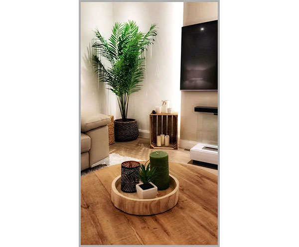 CENTRO DE MESA VELA CILINDRICA Y UNA MACETA CON PLANTA NATURAL 